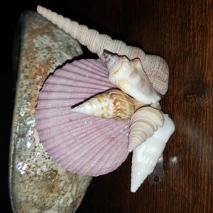 Hand crafted Mermaid 🧜‍♀️ hair accessory